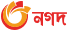 nagad logo